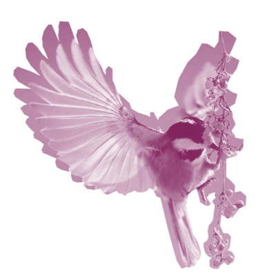 Vogel